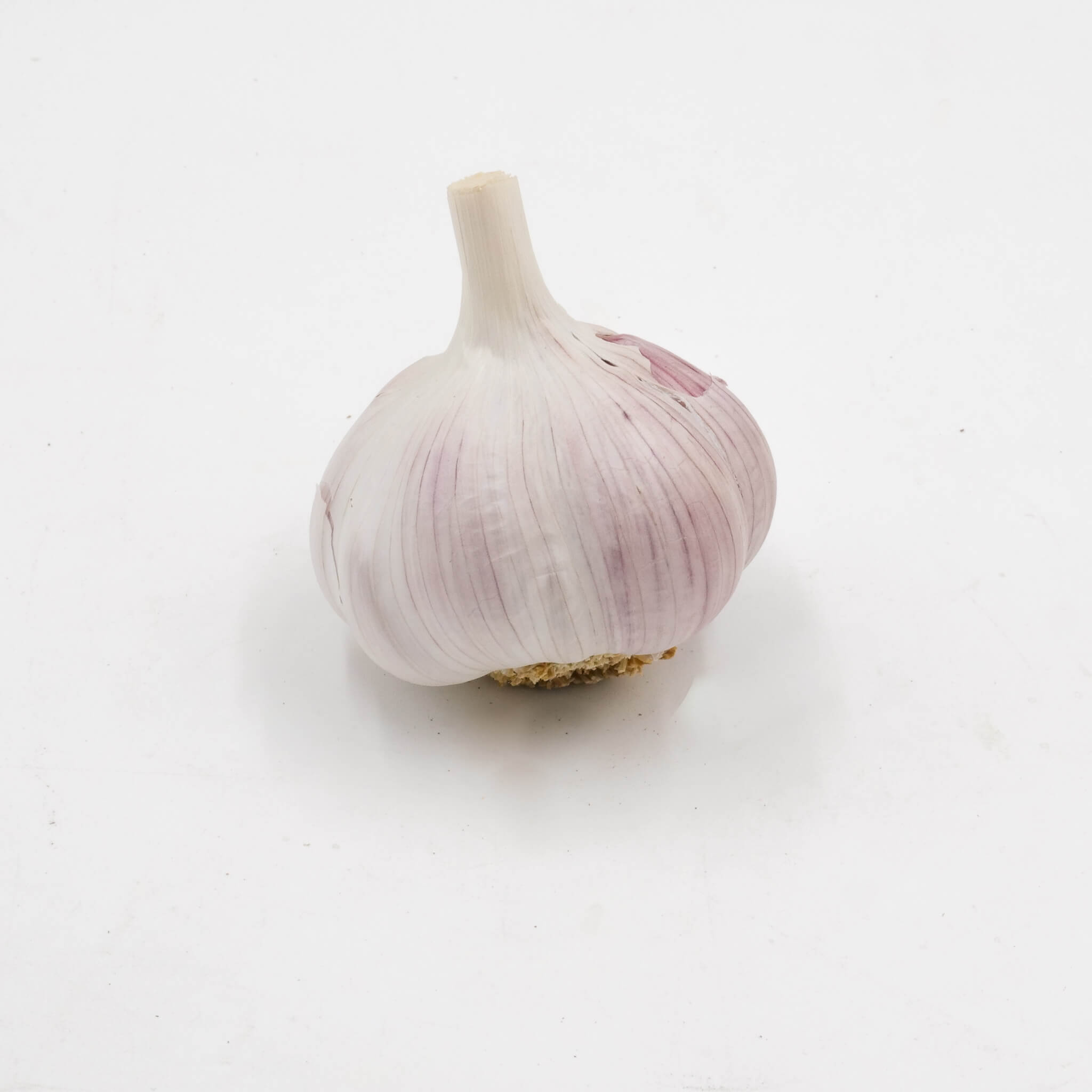 La Légumière, the specialist in Breton and seasonal vegetables! Pink garlic