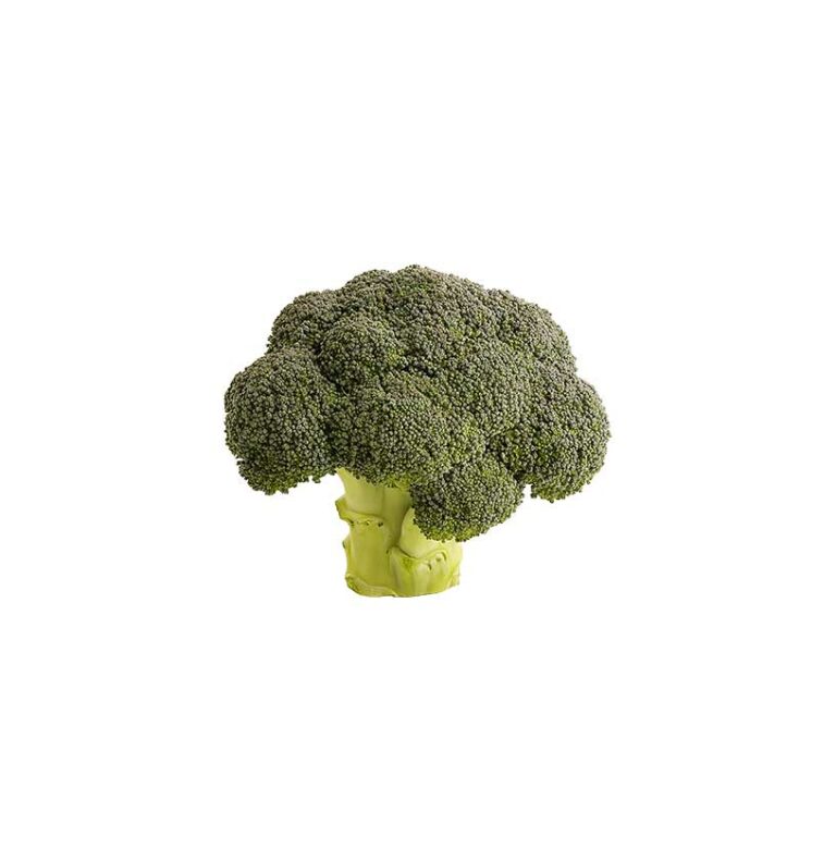 La Légumière, the specialist in Breton and seasonal vegetables! Broccoli