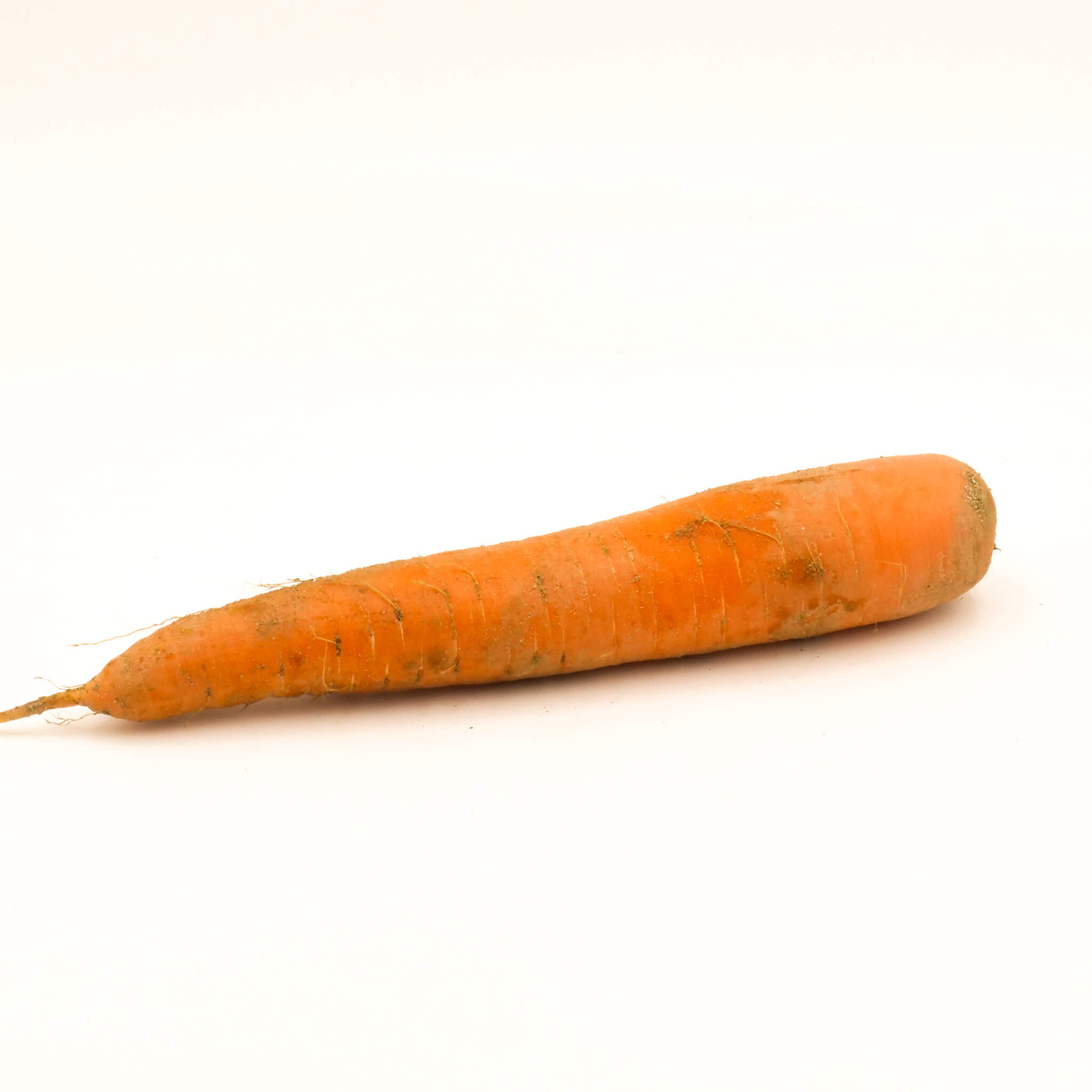 La Légumière, le spécialiste des légumes bretons et de saison ! Carotte de sable