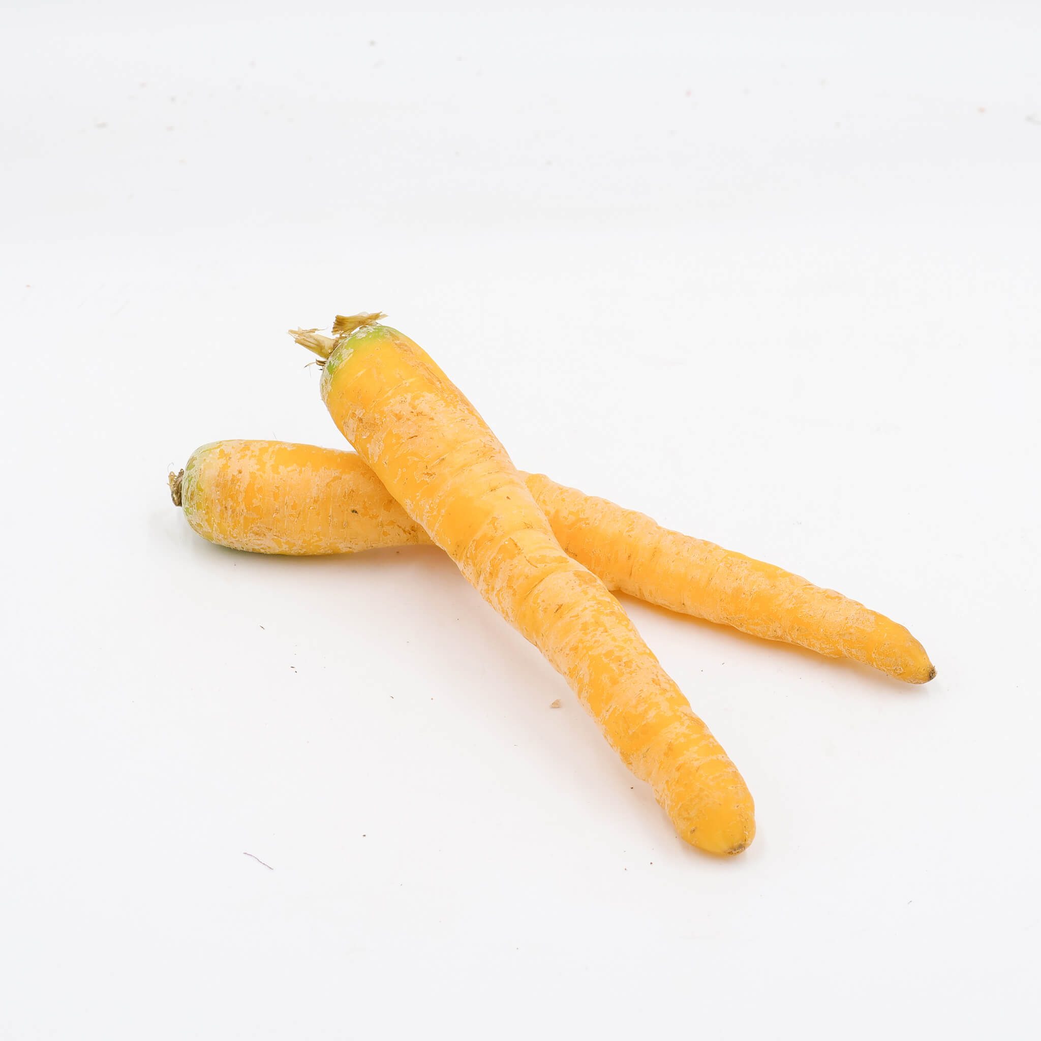 La Légumière, der Spezialist für bretonisches und saisonales Gemüse! Gelbe Karotten