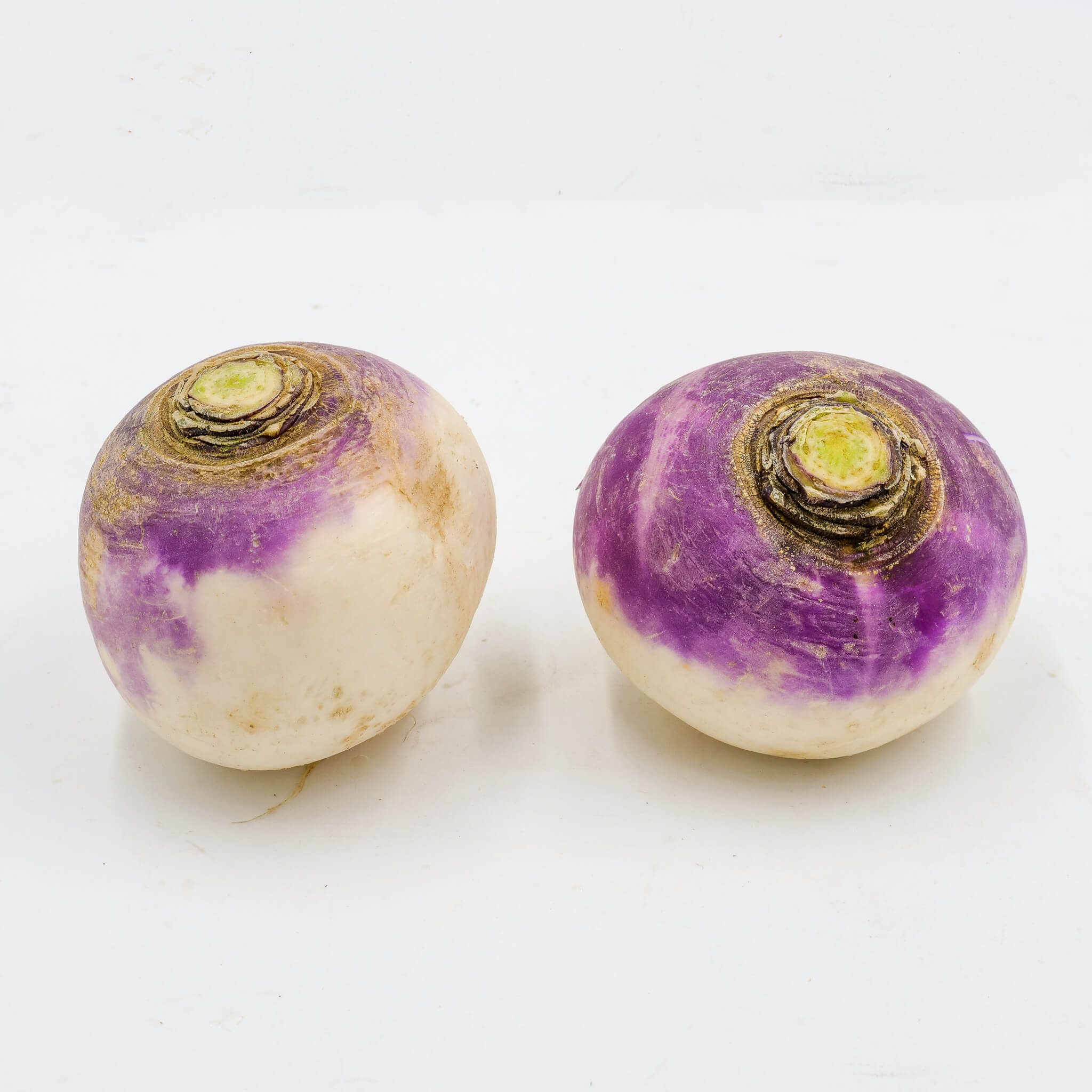 La Légumière, the specialist in Breton and seasonal vegetables! Purple turnip