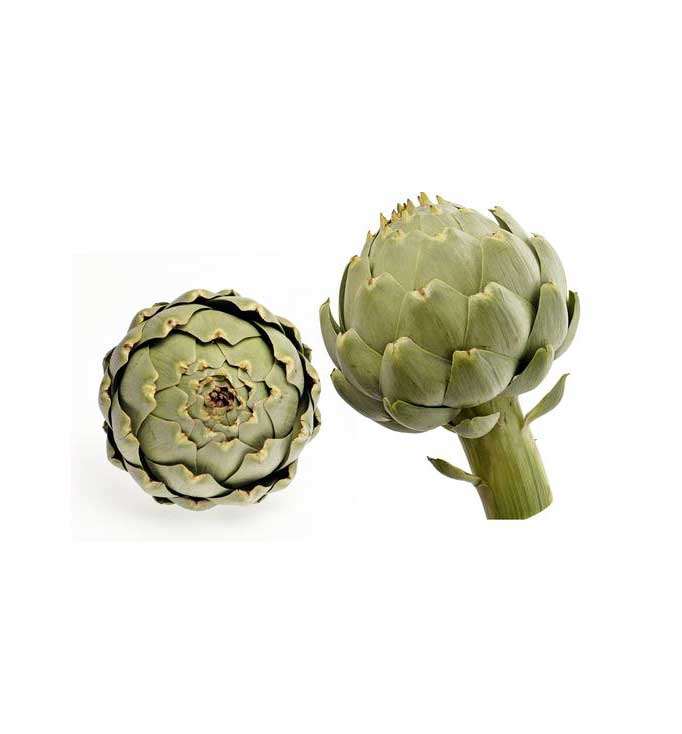 La Légumière, the specialist of Breton and seasonal vegetables ! artichoke-castel-camus