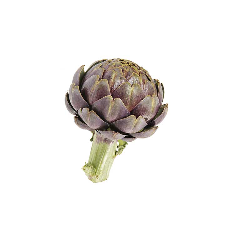 La Légumière, the specialist of Breton and seasonal vegetables ! artichoke