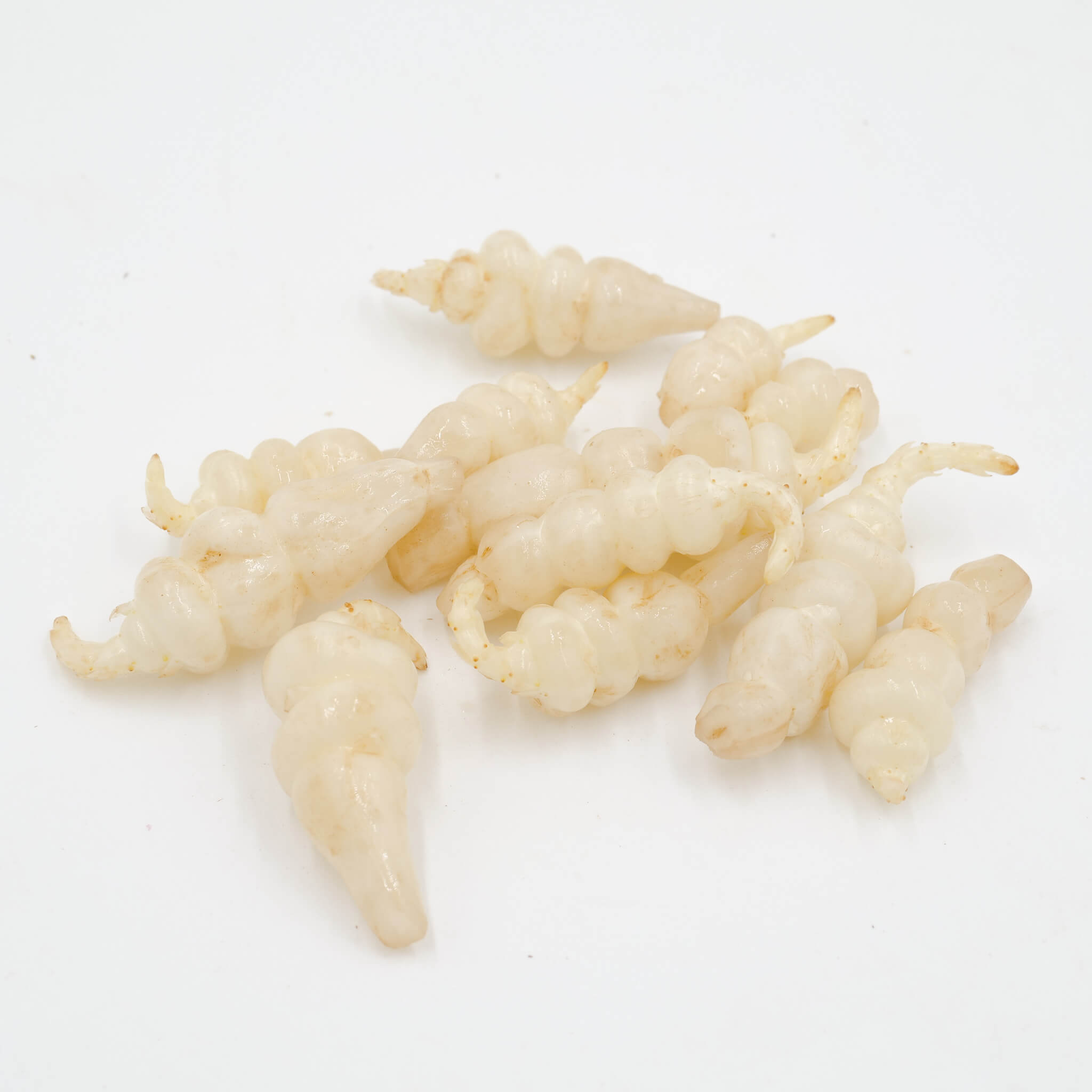 La Légumière, the specialist in Breton and seasonal vegetables! Crosnes