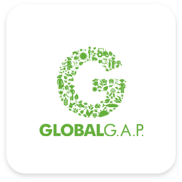 global-gap-logo