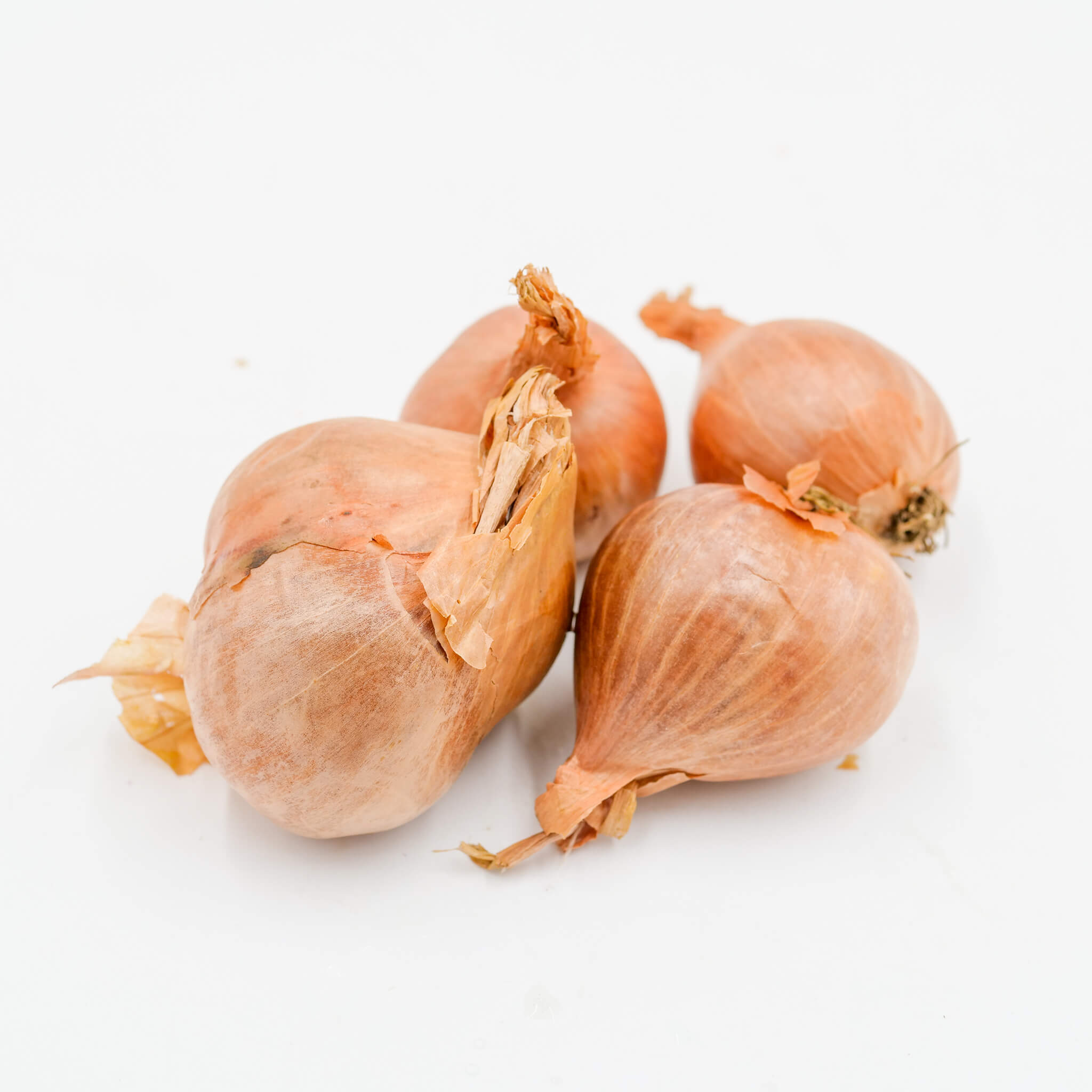 La Légumière, the specialist in Breton and seasonal vegetables! half-length shallot