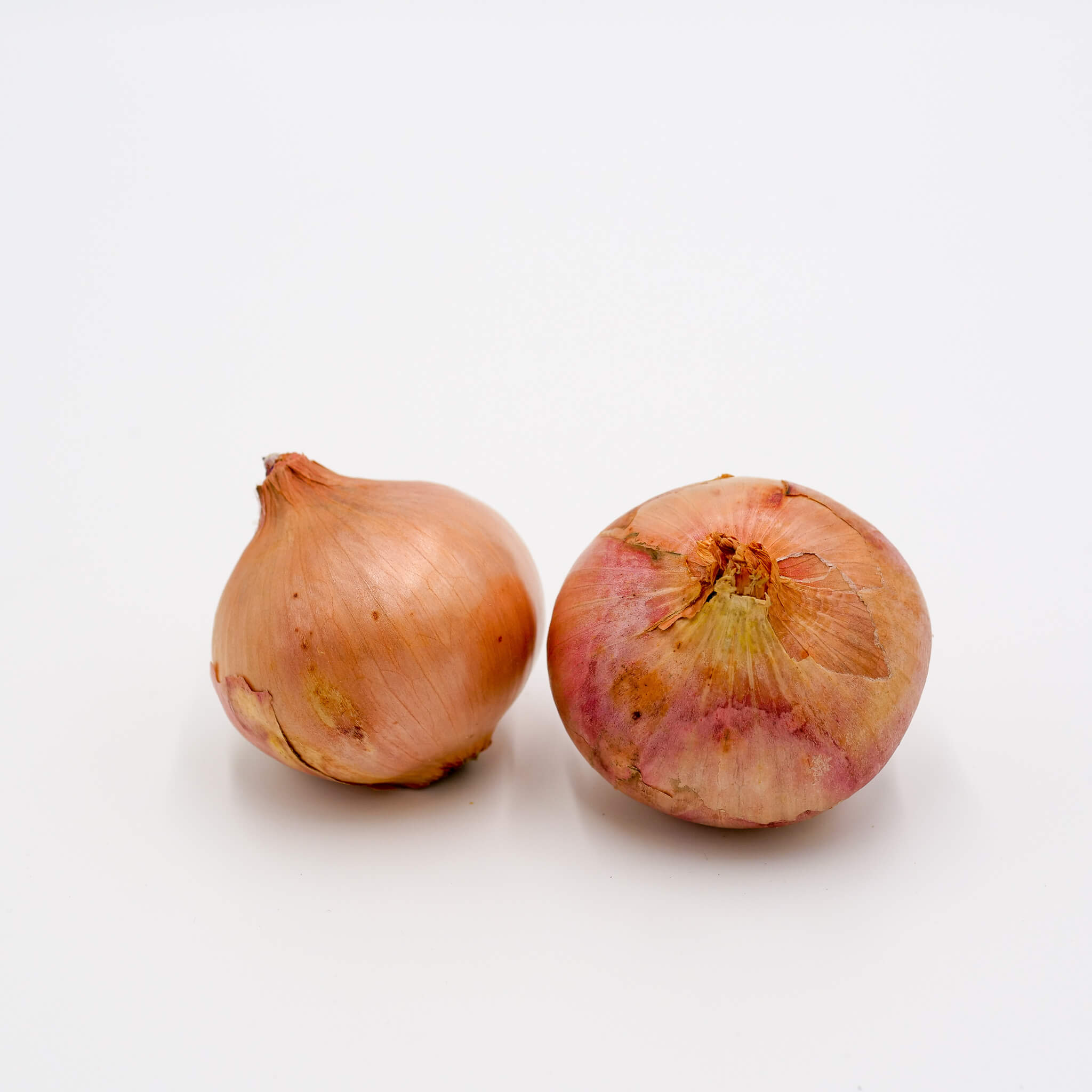 Pink onion from Brittany - La légumière - the specialist in Breton  vegetables!