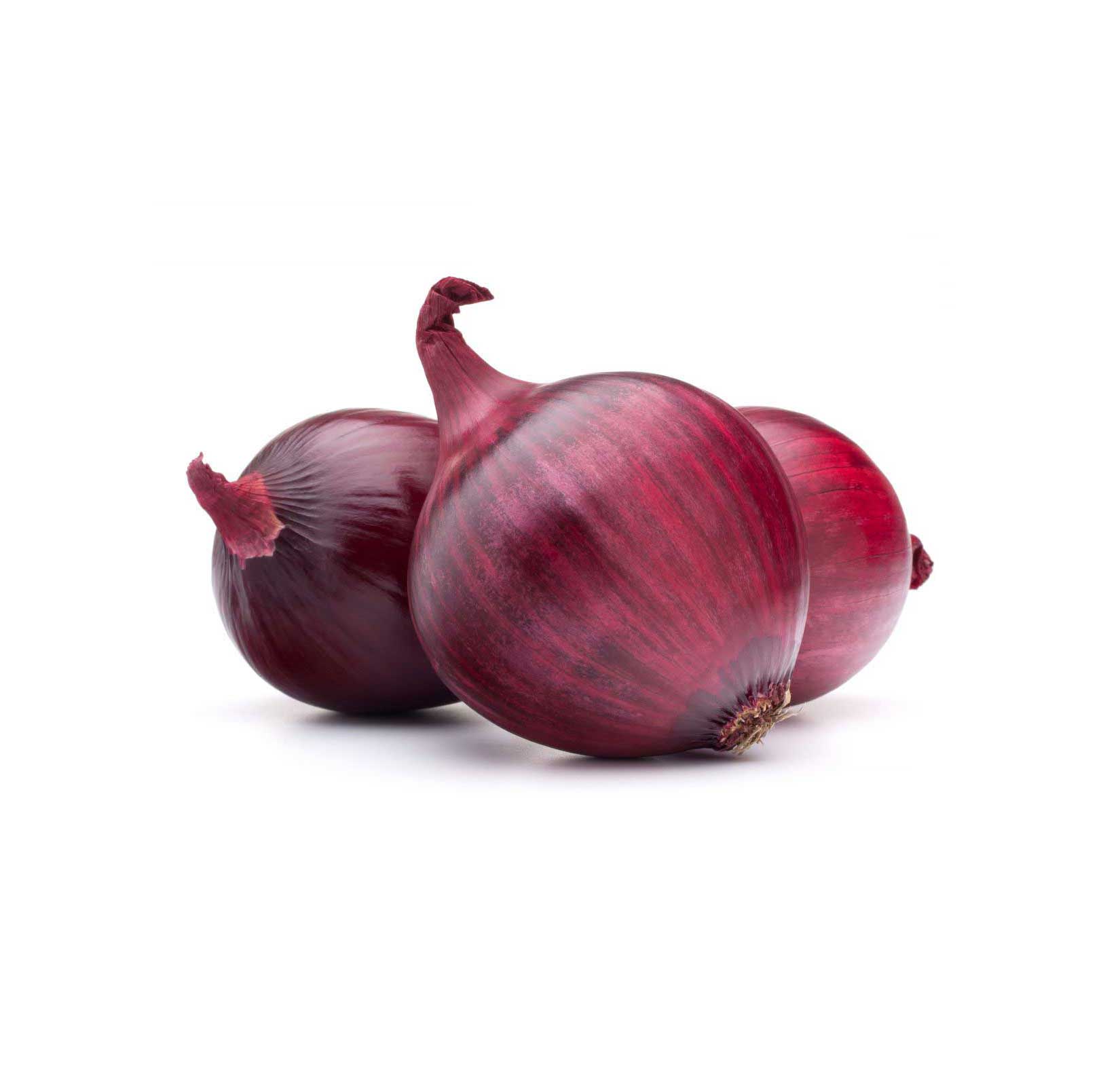 La Légumière, the specialist in Breton and seasonal vegetables! Red onion