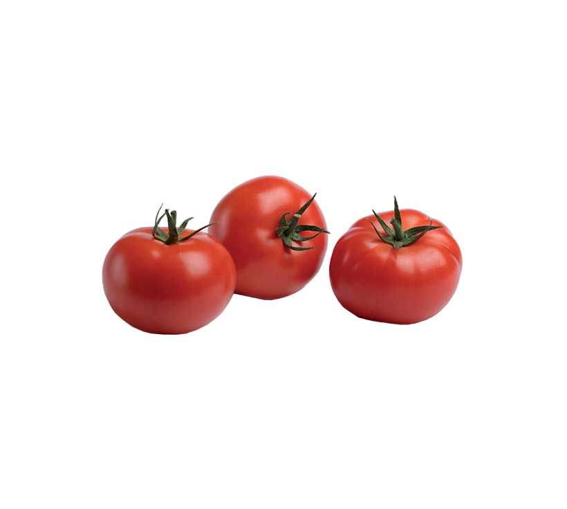La Légumière, der Spezialist für bretonisches und saisonales Gemüse! tomaten-racs